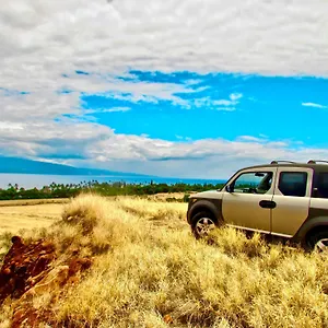 https://campervan-maui-hosted-by-go-camp-maui.hotelsinhawaii.org